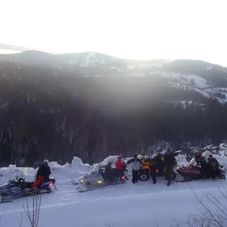 котедж-шале елітний