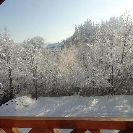 котедж-шале елітний Chalet *