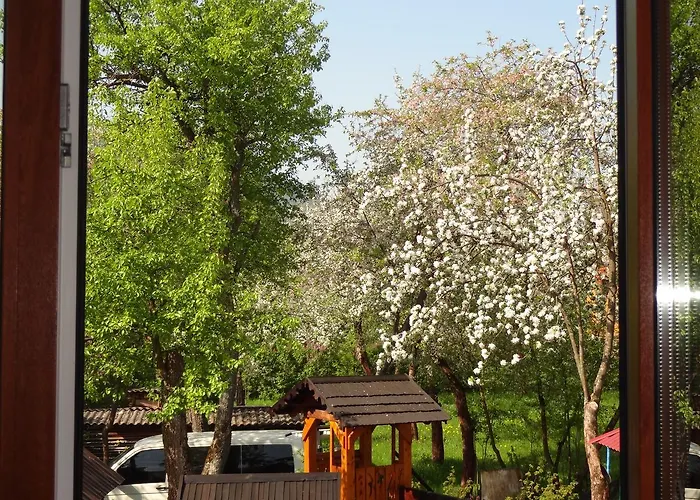котедж-шале елітний Chalet *